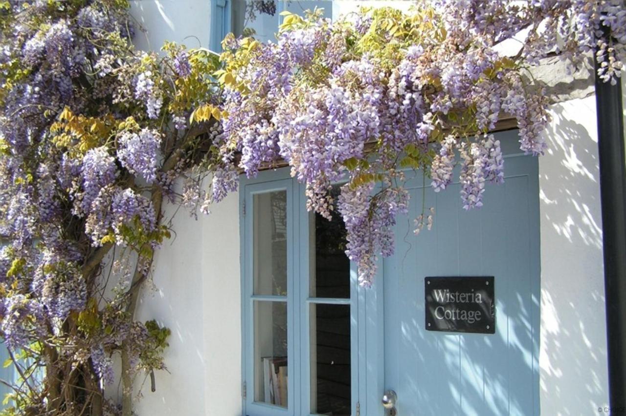Croyde Wisteria Cottage 4 Bedrooms ภายนอก รูปภาพ